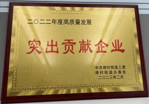 2022年度高質(zhì)量發(fā)展突出貢獻企業(yè)